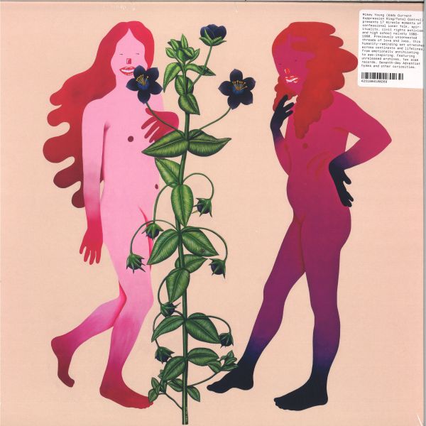 Various — Someone Like Me LP 2x12" vinyl cover
