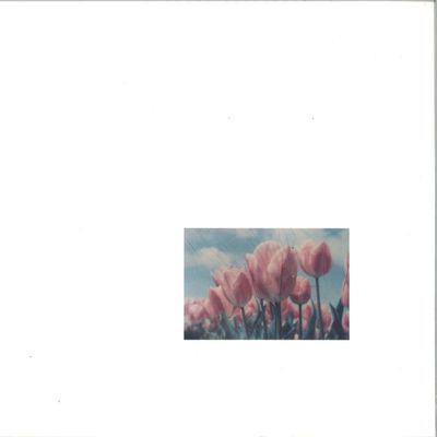 Various — ST01 LP 2x12" vinyl cover