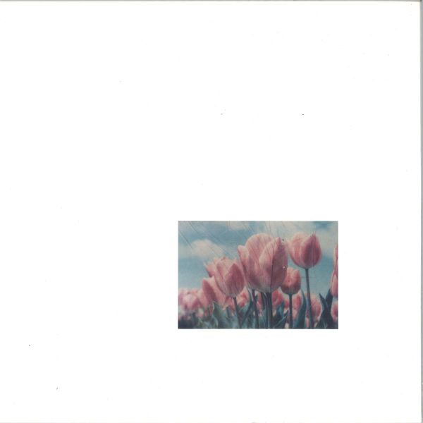 Various — ST01 LP 2x12" vinyl cover