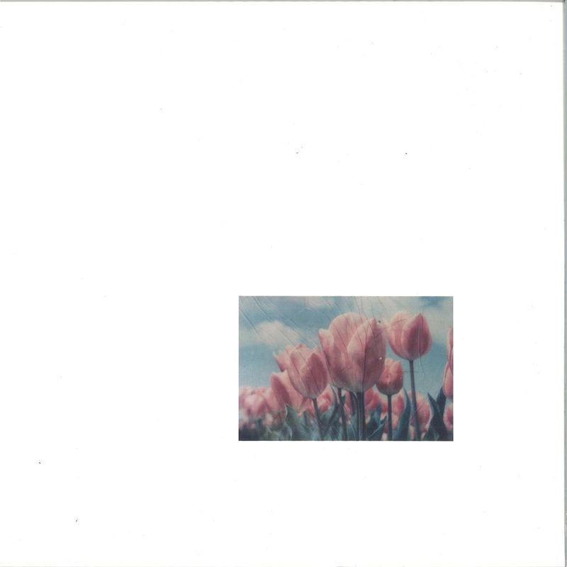 Various — ST01 LP 2x12" vinyl cover