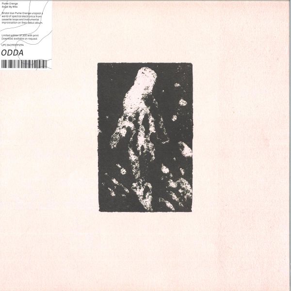 Pume Orenge — Angel By Milo vinyl cover