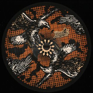 Roma Khropko — Sonic Surge vinyl cover