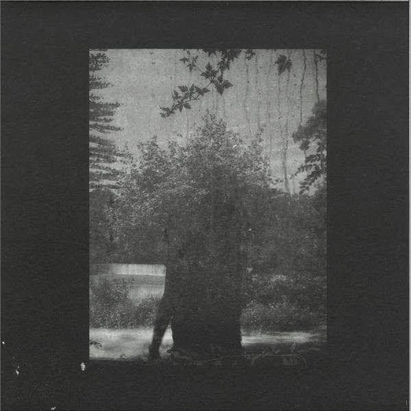 Grouper — Ruins vinyl cover