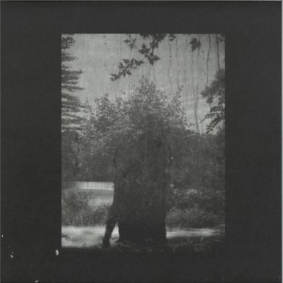 Grouper — Ruins vinyl cover