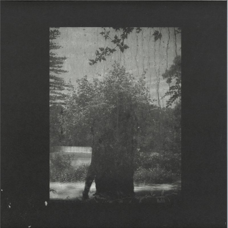 Grouper — Ruins vinyl cover