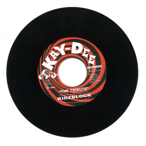 Kidzblock — The Tribute vinyl cover