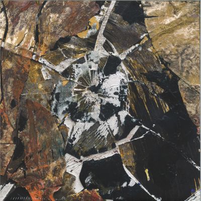 Nomadico — Shards LP vinyl cover
