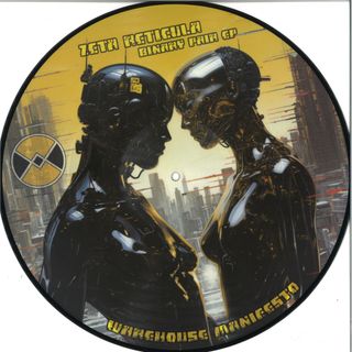 Zeta Reticula — Binary Pair ep vinyl cover
