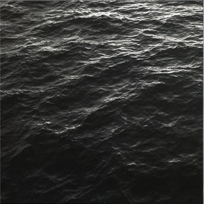 Locust — The First Cause LP vinyl cover