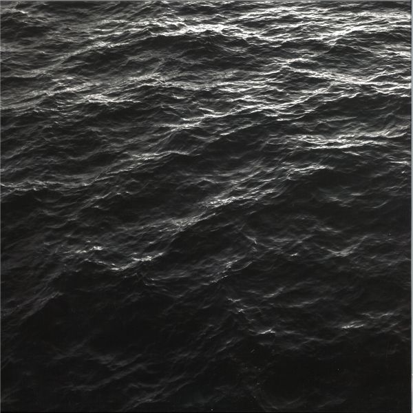 Locust — The First Cause LP vinyl cover