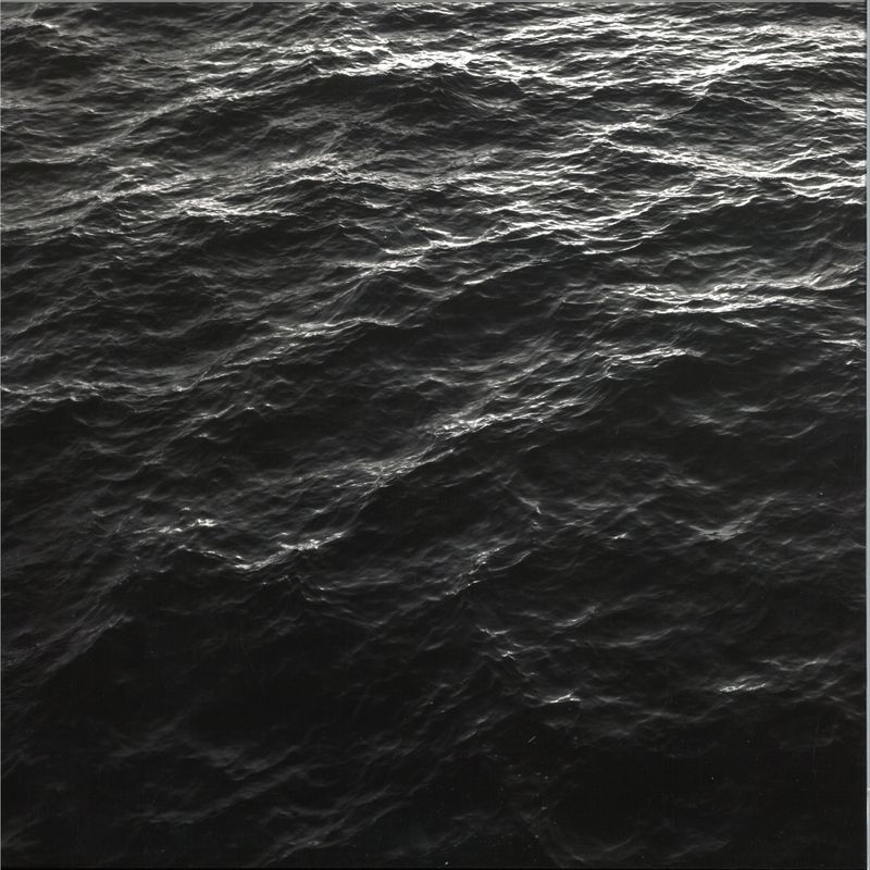 Locust — The First Cause LP vinyl cover