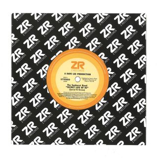 The Sunburst Band, Dave, Maurissa — Secret Life Of Us / Look At The Stars vinyl cover