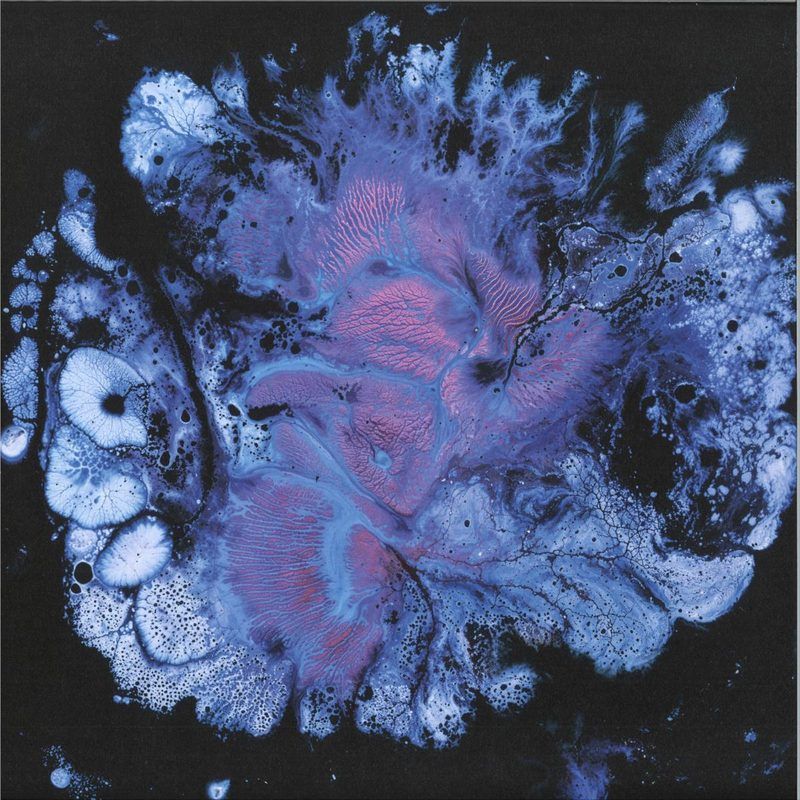 Hodge, Ma Sha — Hexacorallia vinyl cover