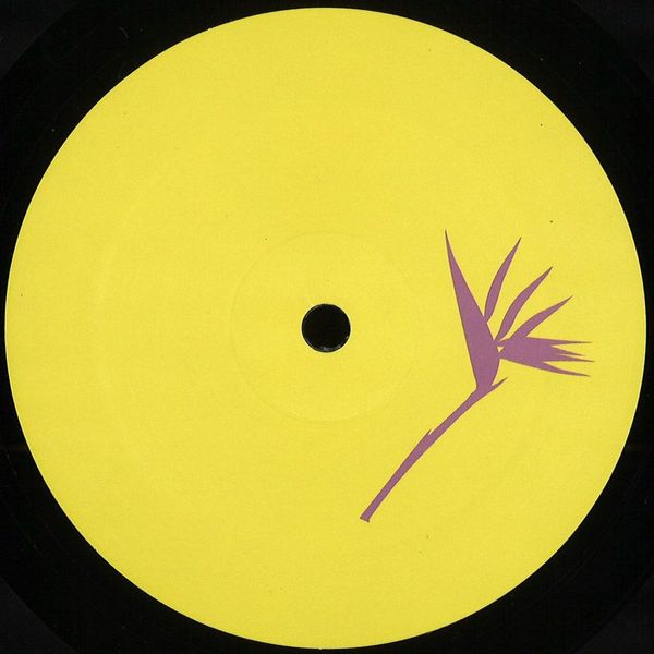 Costin Rp remix Floog — Things For The Soul EP vinyl cover
