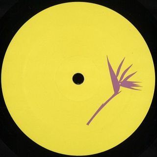 Costin Rp remix Floog