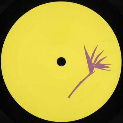 Costin Rp remix Floog — Things For The Soul EP vinyl cover