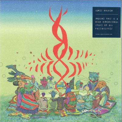 James Holden — Imagine This Is A High Dimensional Space Of All... vinyl cover