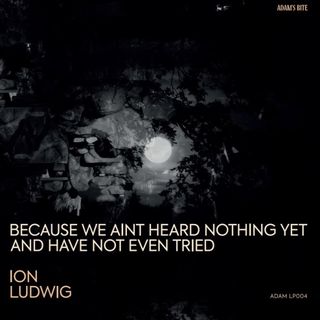 Ion Ludwig — Because We Aint Heard Nothing Yet And Have Not Even Tried 3x12" vinyl cover
