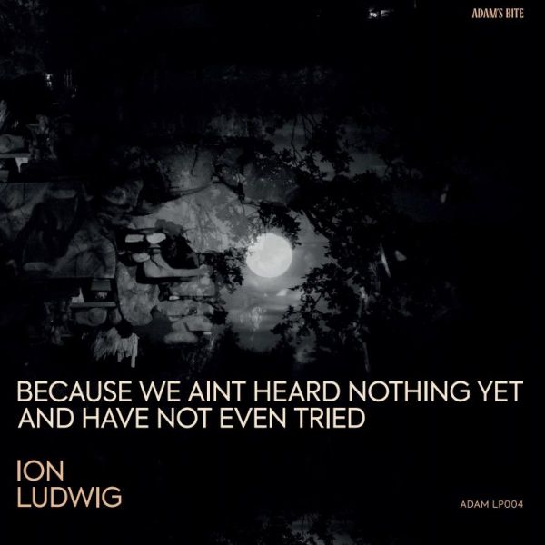 Ion Ludwig — Because We Aint Heard Nothing Yet And Have Not Even Tried 3x12" vinyl cover