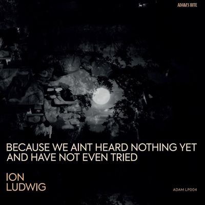 Ion Ludwig — Because We Aint Heard Nothing Yet And Have Not Even Tried 3x12" vinyl cover