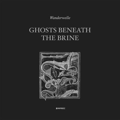 Wanderwelle — Ghosts Beneath The Brine vinyl cover