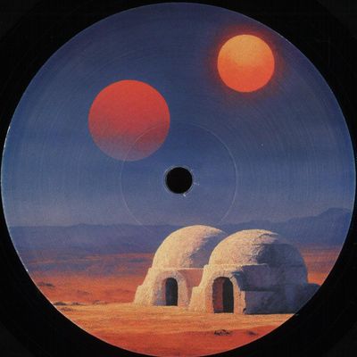 Various — Transient States. Feedback vinyl cover