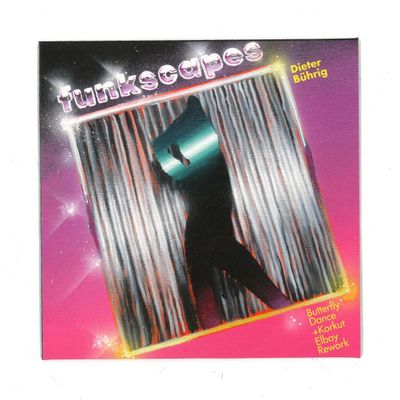Dieter BÜHrig — BUTTERFLY DANCE vinyl cover