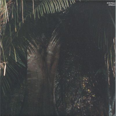 Acid Pauli — Urwald vinyl cover