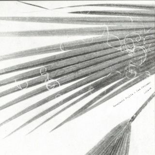 Masayoshi Fujita, Jan Jelinek — Schaum vinyl cover