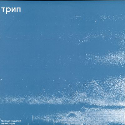 Bjarki — Fresh Jive vinyl cover