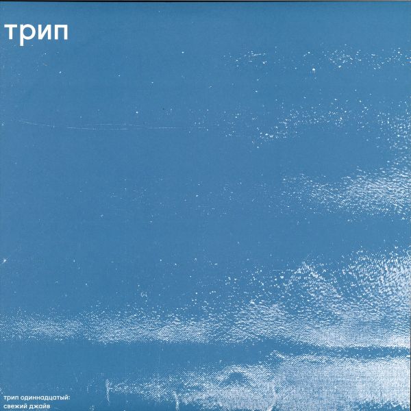 Bjarki — Fresh Jive vinyl cover