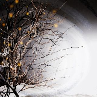 Winterlight