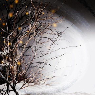 Winterlight — Winterlight LP vinyl cover