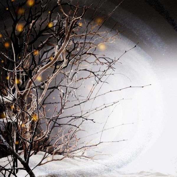 Winterlight — Winterlight LP vinyl cover