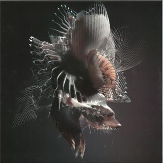 Echonomist — Dominator EP vinyl cover