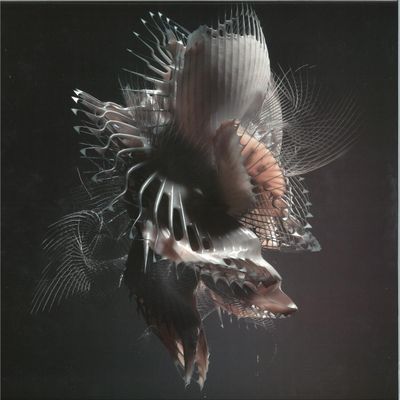 Echonomist — Dominator EP vinyl cover