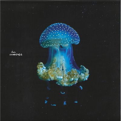 Zone — A Balloon In The Wind LP 3x12" vinyl cover