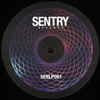 Various — Syndicate LP 2x12" vinyl cover