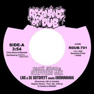Lns, Dj Sotofett, Ekowmania — Fanti Shake (Steppers Mix) / Step-Eight vinyl cover
