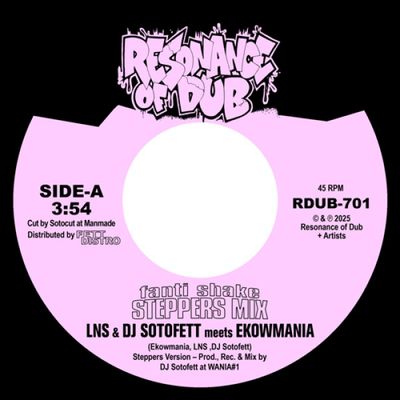 Lns, Dj Sotofett, Ekowmania — Fanti Shake (Steppers Mix) / Step-Eight vinyl cover