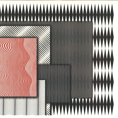 Attraktta — Echo Principle vinyl cover