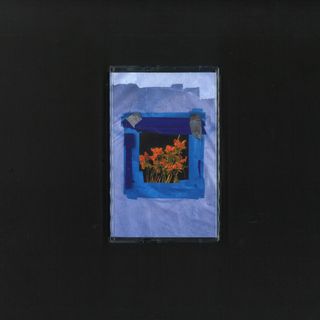 Unknown Artist — Destruction (TAPE) vinyl cover