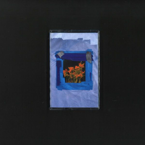 Unknown Artist — Destruction (TAPE) vinyl cover