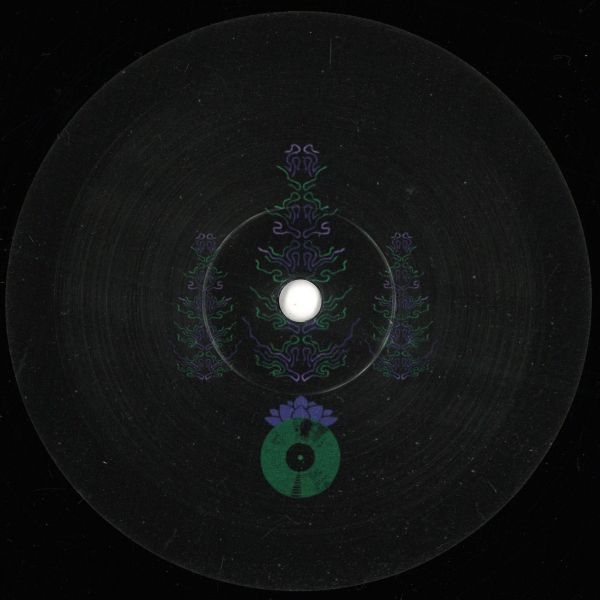 Various — The Sinergy Between Like and Darkness vinyl cover