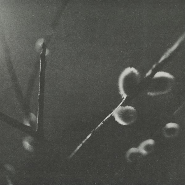 Knowone — KNWN6.5 vinyl cover