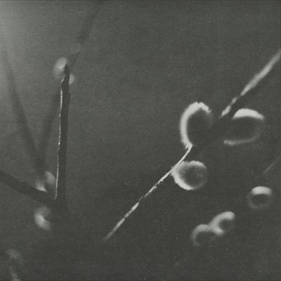 Knowone — KNWN6.5 vinyl cover