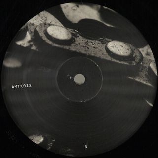 Amotik — Amotik 012 vinyl cover