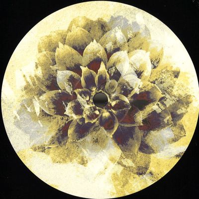 Various — IFSDIGIV001 vinyl cover
