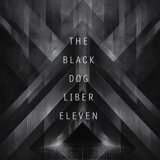 The Black Dog — Liber Eleven (Remastered) vinyl cover
