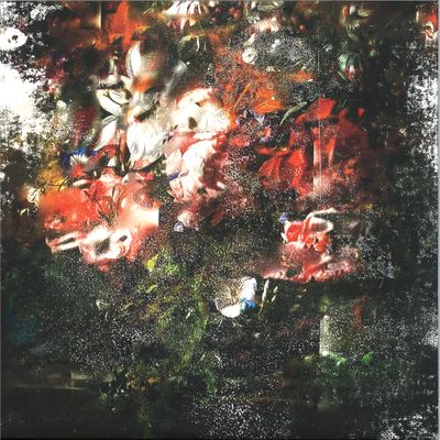 Charles Trees — Capturing Animals LP vinyl cover